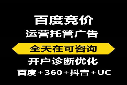 行业标杆的SEM竞价营销案例研究